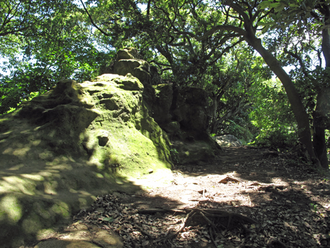 20150715hike (52)